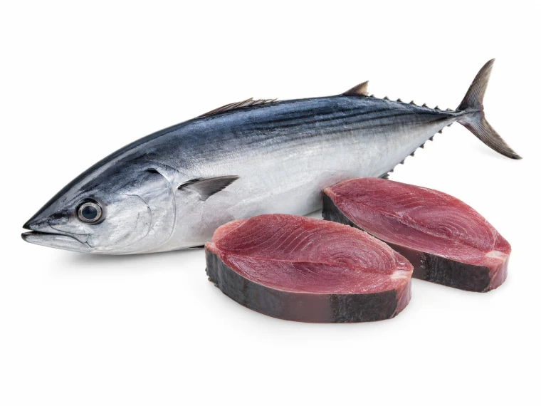 Bonito