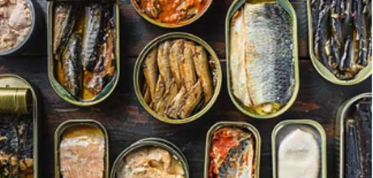 Canned Fish Varieties