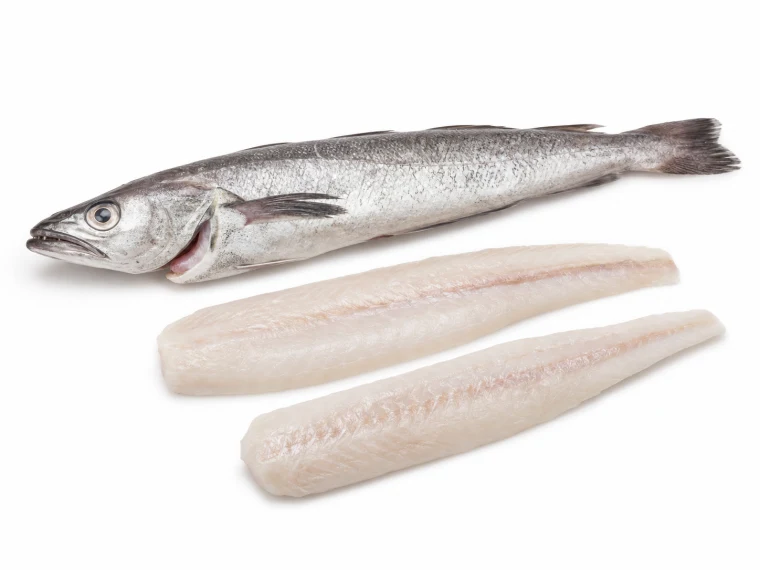 Hake