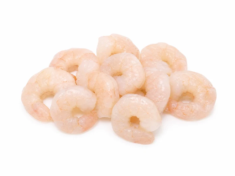 Shrimp