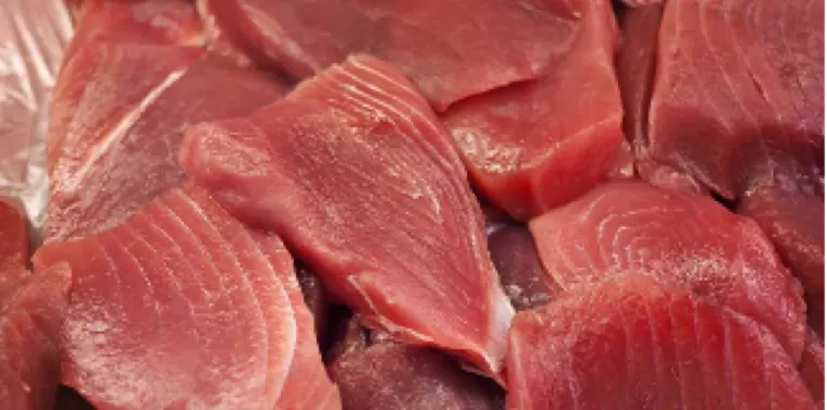 Tuna Fish