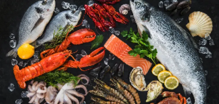 All Seafood Varieties