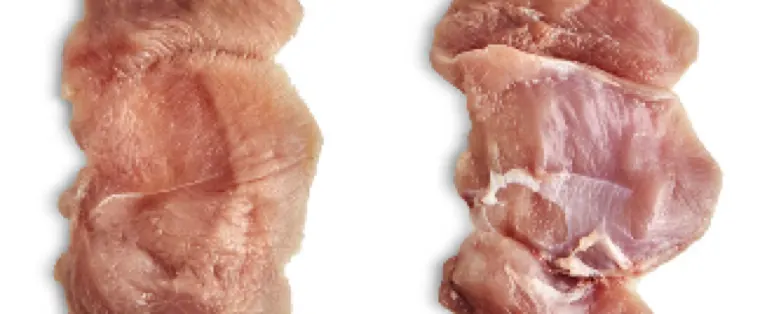 Boneless Turkey Cutlet