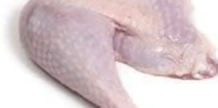 Whole Turkey Leg